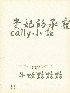 贵妃的承宠日常cally小说