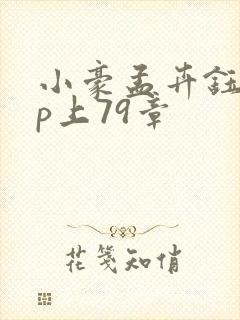 小豪孟卉钰慧三p上79章