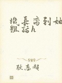 机长脔到她哭h粗话h