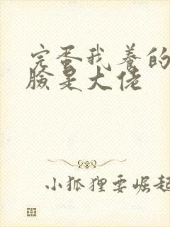 完蛋我养的小白脸是大佬