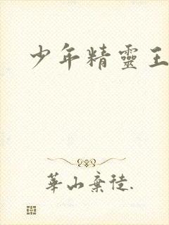 少年精灵王