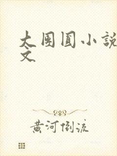 大团圆小说集全文