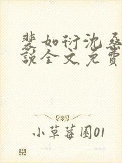 裴如衍沈桑宁小说全文免费阅读