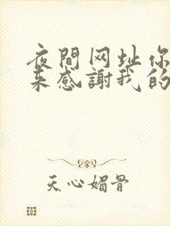 夜间网址你会回来感谢我的