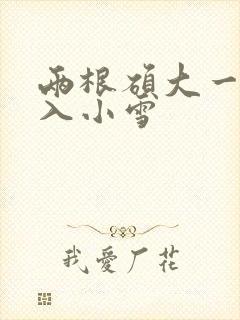 两根硕大一起挤入小雪