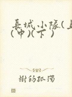 长城小队(上)(中)(下 )