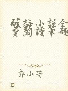 酸梅小说全文免费阅读笔趣阁