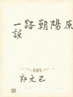 一路朝阳原著小说
