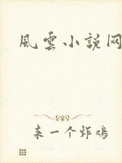 风云小说网