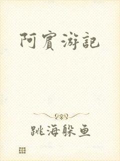 阿宾游记