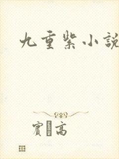 九重紫小说