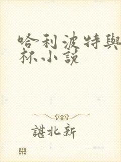 哈利波特与火焰杯小说