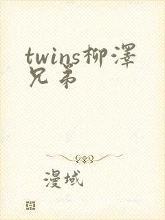 twins柳泽兄弟