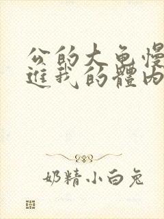 公的大龟慢慢挺进我的体内