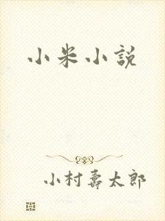 小米小说