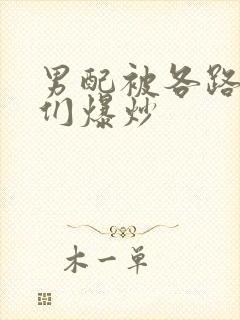 男配被各路大佬们爆炒