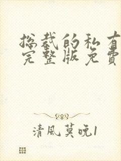 总裁的私有宝贝完整版免费阅读