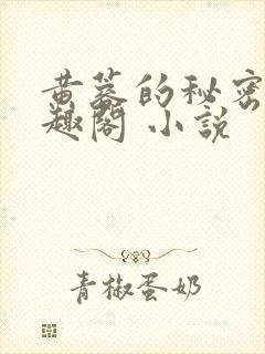 黄蓉的秘密 笔趣阁 小说