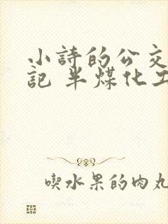 小诗的公交车日记 半煤化工