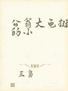 公翁大龟挺进我的小