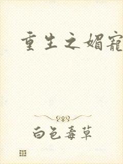 重生之媚宠系统