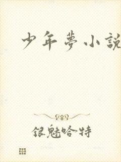 少年梦小说