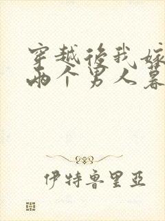 穿越后我嫁给了两个男人暮色酒歌