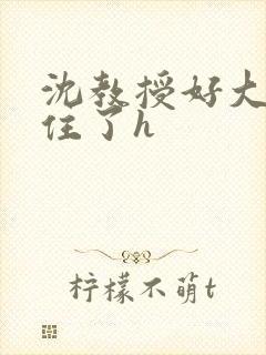 沈教授好大含不住了h