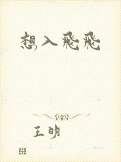 想入飞飞