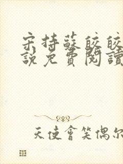 宋持苏皎皎的小说免费阅读