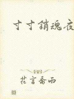 寸寸销魂夜春光