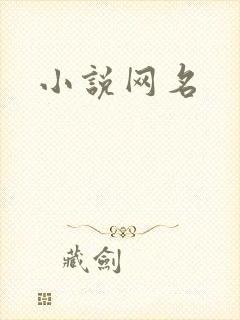 小说网名