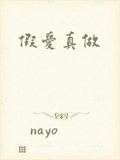 假爱真做