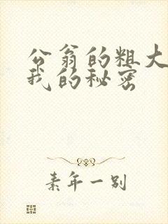 公翁的粗大放进我的秘密