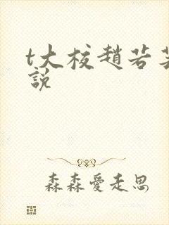 t大校赵若芸小说
