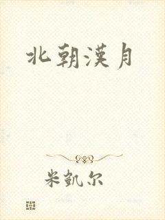 北朝汉月