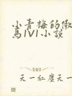 小青梅的傲娇竹马1V1小说