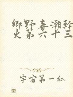 乡野春潮干柴烈火第六十三章