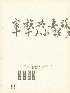 家族共妻苏苏(十千)小说免费