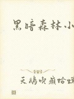 黑暗森林小说