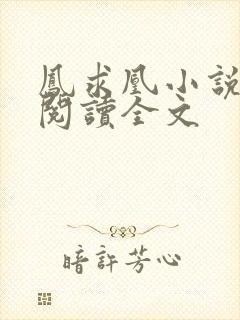 凤求凰小说免费阅读全文