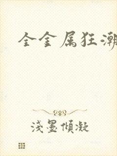 全金属狂潮小说