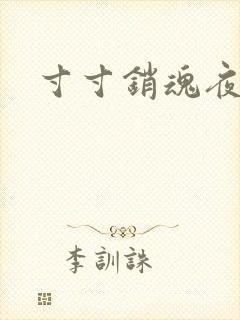 寸寸销魂夜春光