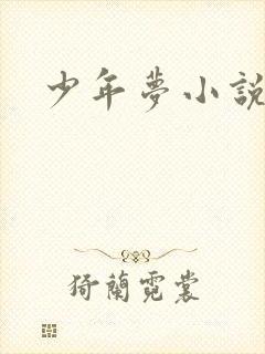 少年梦小说