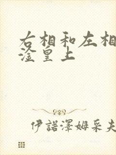 右相和左相一起淦皇上