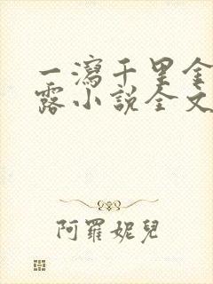 一泻千里金银花露小说全文免费阅读