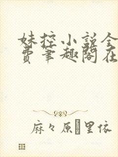 妹控小说全文免费笔趣阁在线阅读