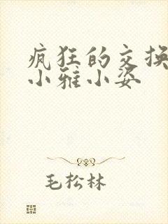 疯狂的交换小静小雅小姿