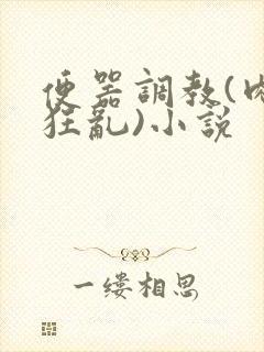 便器调教(肉体狂乱)小说