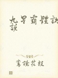 九星霸体诀 小说